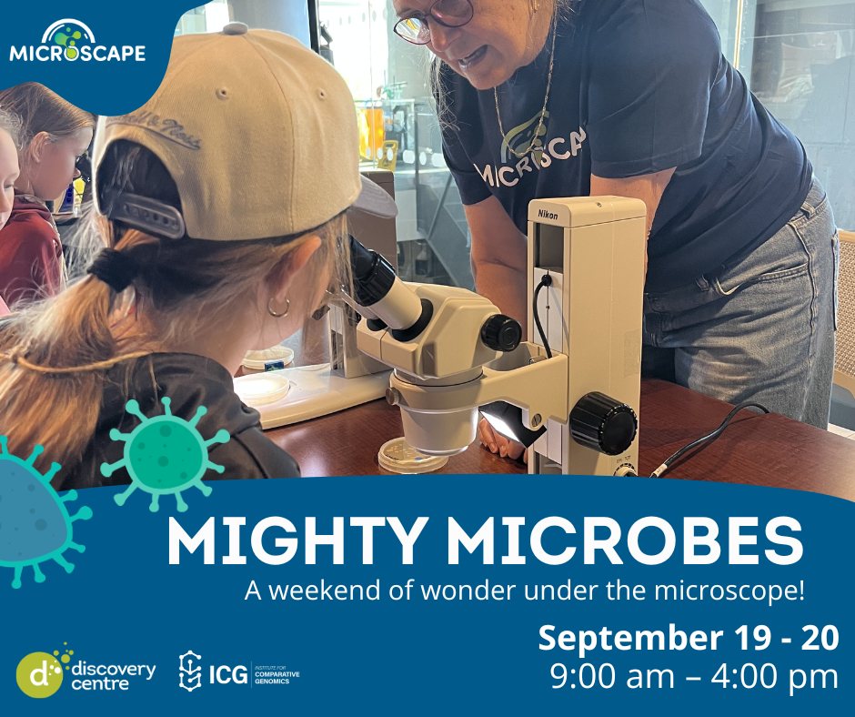 Mighty Microbes – 2
